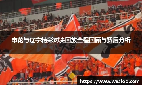 申花与辽宁精彩对决回放全程回顾与赛后分析